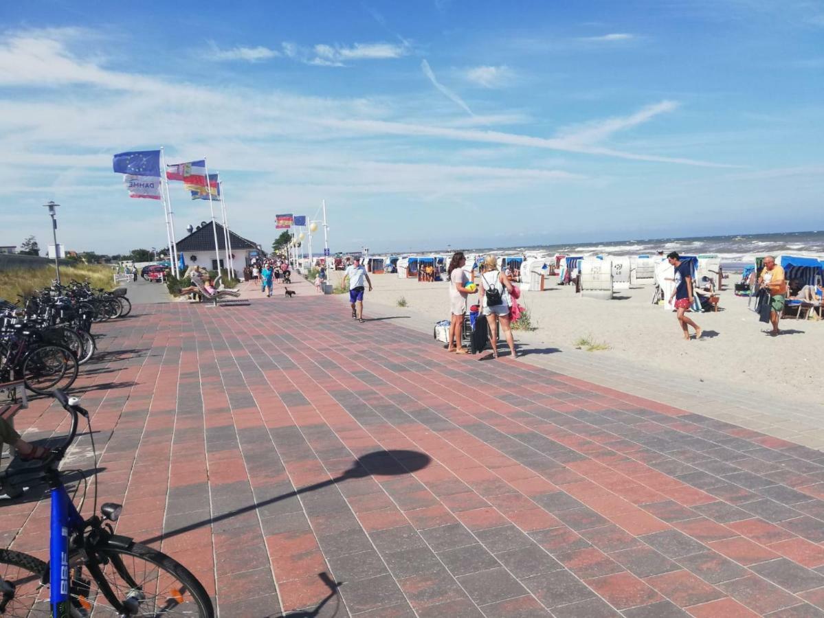 Wohnung Nixe Mit Meerblick - Haus Hopp Dahme  Kültér fotó